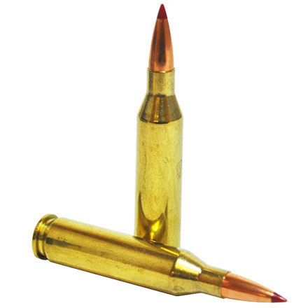 243 Winchester 95 Grain (SST) Super Shock Tipped Superformance 20 Rounds