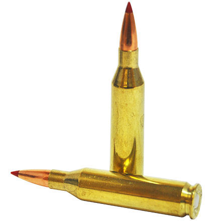243 Winchester 95 Grain (SST) Super Shock Tipped Superformance 20 Rounds