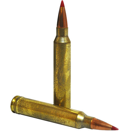 300 Winchester Mag 200 Grain ELD-X Precision Hunter 20 Rounds