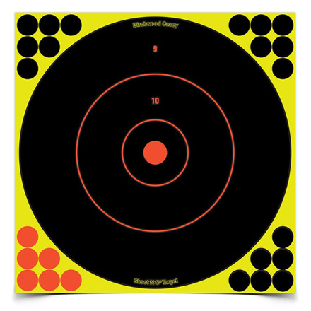 Shoot-N-C 12" Round Bulls Eye Targets (12 Pack With 288 Pasters)