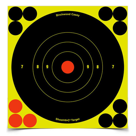 Shoot-N-C 6" Round Bulls Eye Target (60 Pack With 720 Pasters)