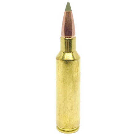 Nosler Expansion Tip 300 Winchester Short Magnum 180 Grain E-Tip 20 Rounds