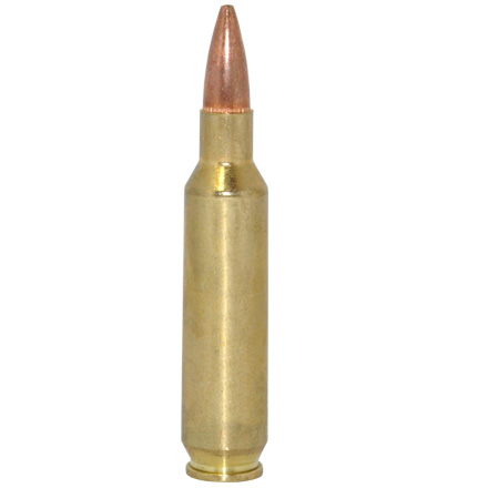 Nosler Match Grade 22 Nosler 77 Grain Custom Competition Hollow Point Boat Tail 20 Rounds