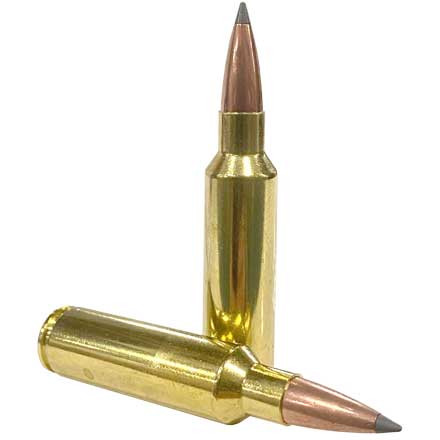 300 Winchester Short Mag (WSM) 190 Grain Long Range AccuBond 20 Rounds