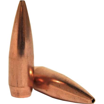 30 Caliber .308 155 Grain Boat Tail Hollow Point MATCH 100 Count