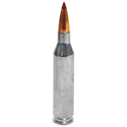 243 Winchester 80 Grain CX Outfitter 20 Rounds