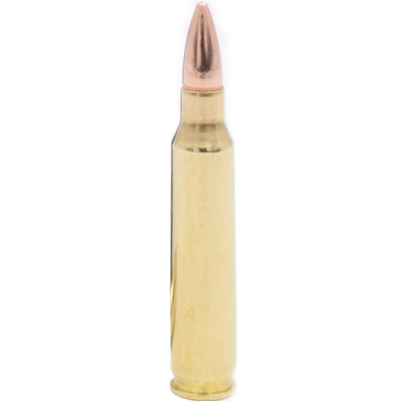 5.56 Nato 62 Grain FMJ Black 20 Rounds