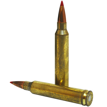 300 Winchester Mag 200 Grain ELD-X Precision Hunter 20 Rounds