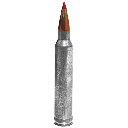 300 Winchester Magnum 180 Grain CX Outfitter 20 Rounds