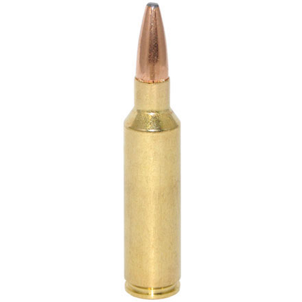 Hornady American Whitetail 300 Winchester Short Magnum 165 Grain Interlock 20 Rounds