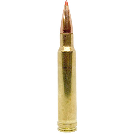 338 Winchester Mag 200 Grain (SST) Super Shock Tipped Superformance 20 Rounds