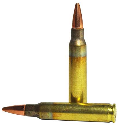 5.56 NATO 75 Grain Boat Tail Hollow Point Match 20 Rounds