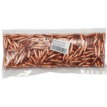Match Monster 6.5mm .264 Diameter 100 Grain Boat Tail Hollow Point 250 Count