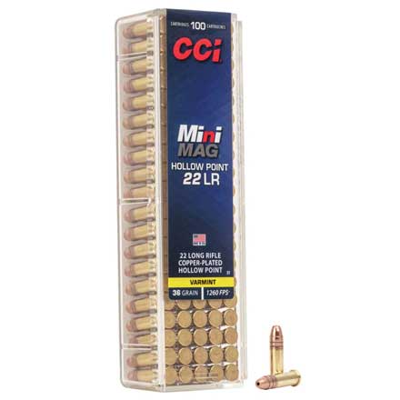 22 LR (Long Rifle) 36 Grain Hollow Point Mini-Mag 100 Rounds