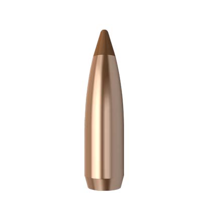 6.5mm .264 Diameter 100 Grain Spitzer Ballistic Tip Hunting 50 Count