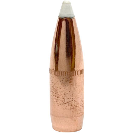 Nosler Bulk Packaged 375 Caliber .375 Diameter 260 Grain AccuBond 100 Count