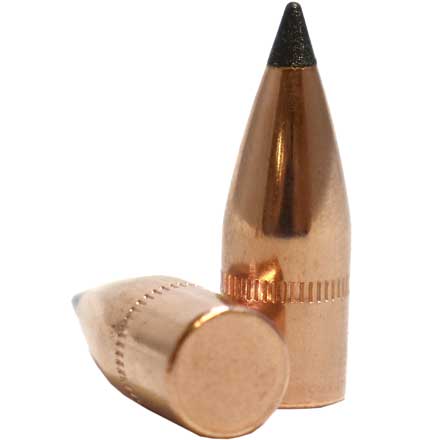 7.62x39 Caliber .310 Diameter 123 Grain Flat Base Tipped Varmageddon 100 Count