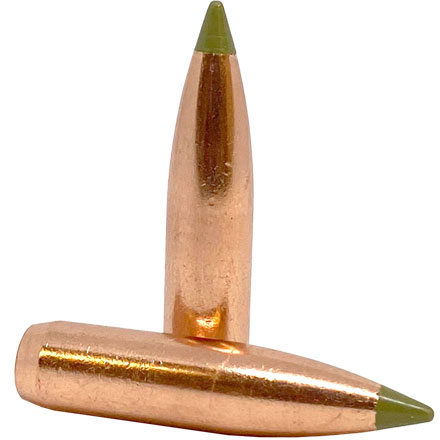 Nosler Bulk Packed 30 Caliber .308 Diameter 168 Grain Spitzer E-Tip Lead Free 100 Count