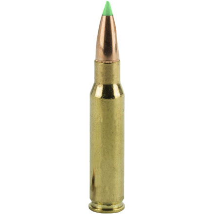 300 Winchester Mag 180 Grain E-Tip 20 Rounds