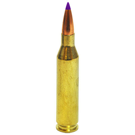 243 Winchester 90 Grain Ballistic Tip 20 Rounds