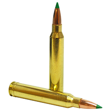 300 Winchester Mag 180 Grain Ballistic Tip 20 Rounds