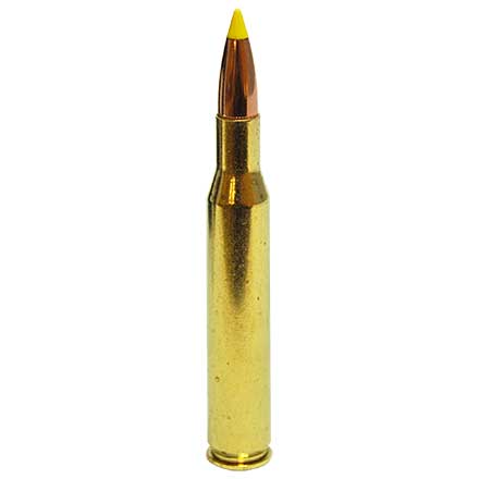 270 Winchester 140 Grain Ballistic Tip 20 Rounds