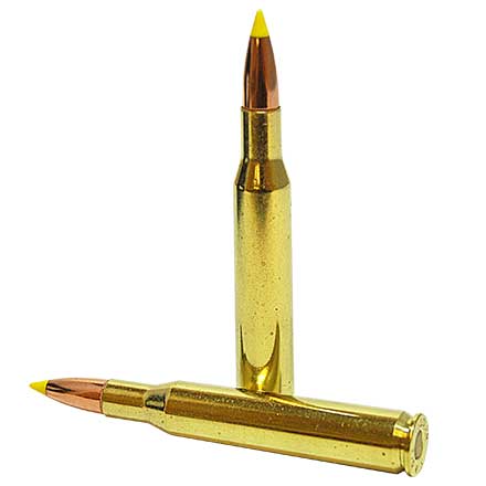 270 Winchester 140 Grain Ballistic Tip 20 Rounds