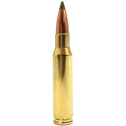 308 Winchester 125 Grain Ballistic Tip 20 Rounds