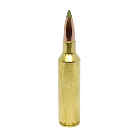 Nosler Expansion Tip 270 Winchester Short Magnum 130 Grain E-Tip 20 Rounds