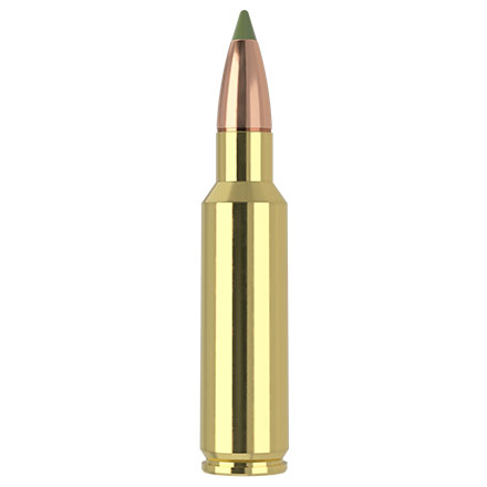 325 Winchester Short Magnum 180 Grain E-Tip 20 Rounds