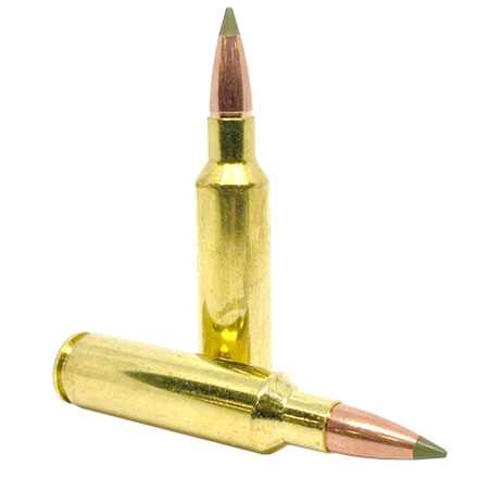 Nosler Expansion Tip 300 Winchester Short Magnum 180 Grain E-Tip 20 Rounds