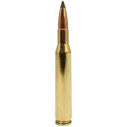 25-06 Remington 100 Grain E-Tip 20 Rounds