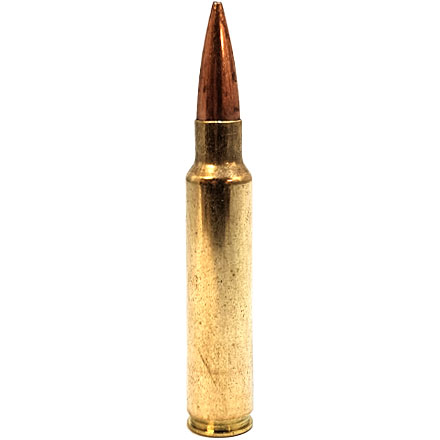 33 Nosler 300 Grain Custom Competition Match Grade 20 Rounds