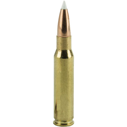 7mm Remington Mag 140 Grain AccuBond Trophy Grade 20 Rounds