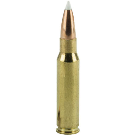 33 Nosler 225 Grain AccuBond Trophy Grade 20 Rounds