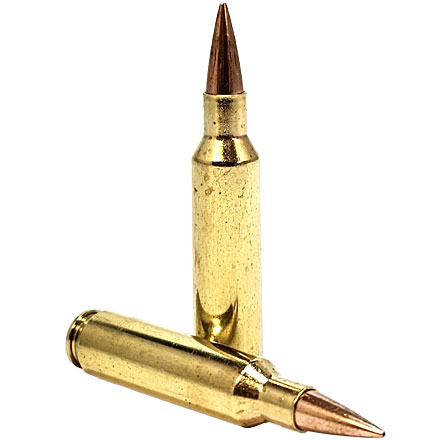 22 Nosler 70 Grain RDF Hollow Point Boat Tail Match Grade 20 Rounds