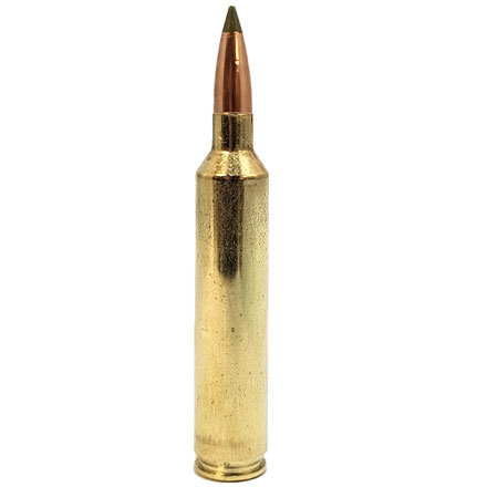 33 Nosler 250 Grain Partition 20 Rounds