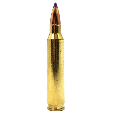 204 Ruger 40 Grain Ballistic Tip Varmint 20 Rounds