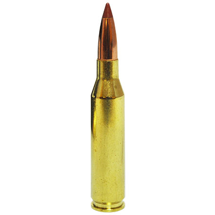 260 Remington 140 Grain Ballistic Tip 20 Rounds