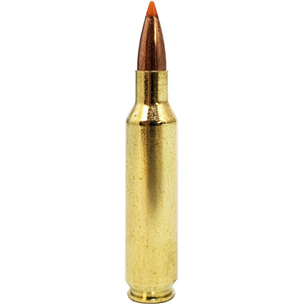 22-250 Remington 35 Grain Lead Free Ballistic Tip Varmint 20 Rounds
