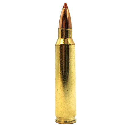 22-250 Remington 40 Grain Lead Free Ballistic Tip Varmint 20 Rounds