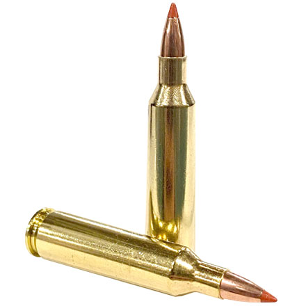 22-250 Remington 40 Grain Lead Free Ballistic Tip Varmint 20 Rounds