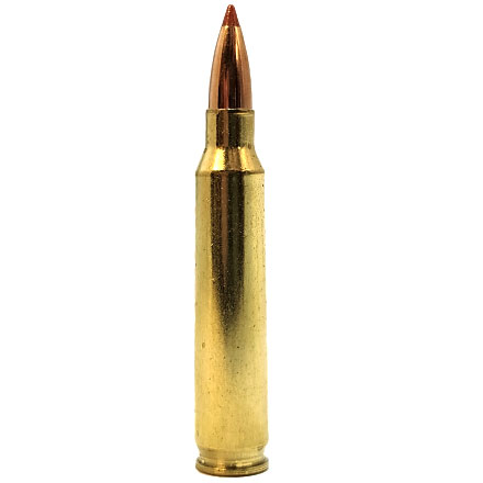 223 Remington 40 Grain Lead Free Ballistic Tip Varmint 20 Rounds