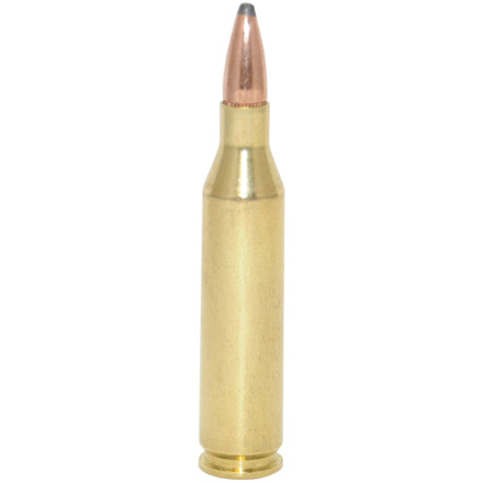 243 Winchester 100 Grain Non Typical Soft Point 20 Rounds