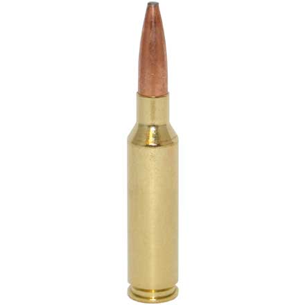 6.5 Creedmoor 140 Grain Non Typical Soft Point 20 Rounds