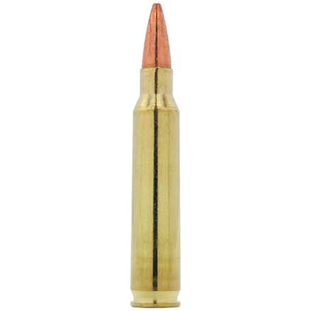 5.56x45 70 Grain TSX Boat Tail 20 Rounds