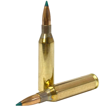 Barnes Harvest 243 Winchester 90 Grain Tipped GameKing 20 Rounds