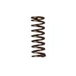 Bolt Catch Spring