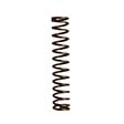 Buffer Retainer Spring
