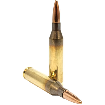 Lapua Ammunition 243 Winchester 90 Grain Full Metal Jacket 20 Rounds